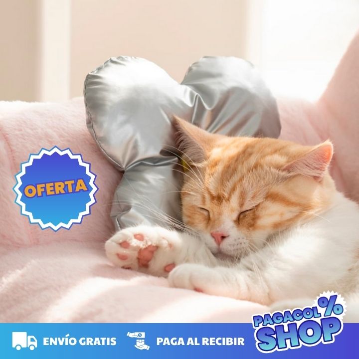 SOFÁ ANTIESTRÉS PARA GATOS